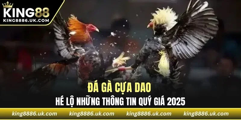 Đá Gà Cựa Dao
